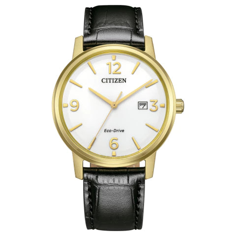 Citizen Eco Drive Watch - BM6756-01A